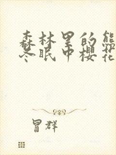 森林里的熊先生冬眠中樱花动漫