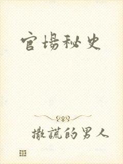 官场秘史