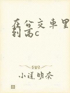 在公交车里c弄到高c