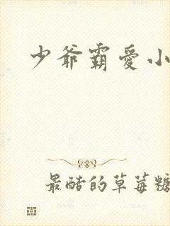 少爷霸爱小丫头封面