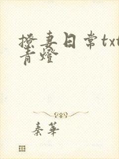 撩妻日常txt青灯