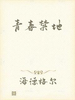 青春禁地封面