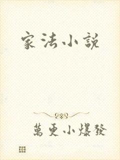 家法小说