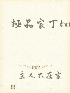 极品家丁txt