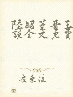 陆昭菱晋王的小说全文免费阅读