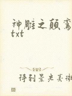神雕之颠鸾倒凤txt