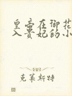 皇帝在御花园进入贵妃的小说