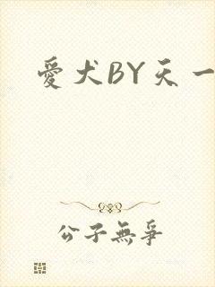 爱犬BY天一