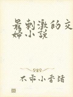 最刺激的交换夫妇小说