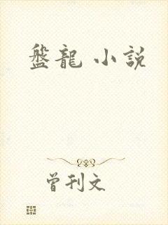 盘龙 小说