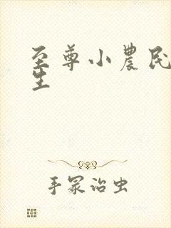 至尊小农民王木生