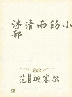 沐清雨的小说全部