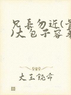 兄长勿近(骨科)大包子容华