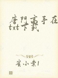 唐门高手在异世txt下载