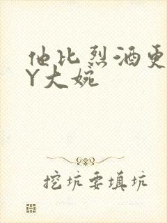 他比烈酒更撩BY大婉