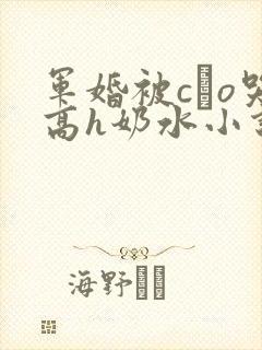 军婚被cαo哭高h奶水小说封面