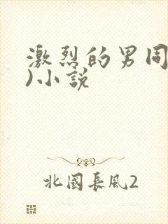 激烈的男同(h)小说封面