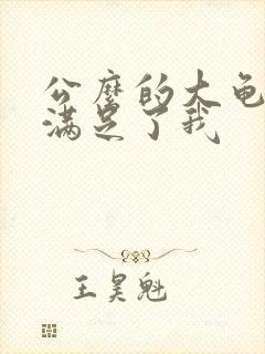 公么的大龟强大满足了我