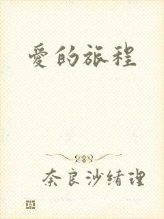 爱的旅程