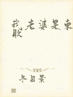 我老婆是东方不败封面