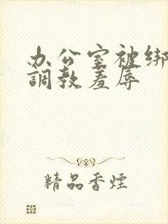 办公室被绑奶头调教羞辱