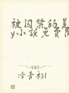 被囚禁的美人by小说免费阅读