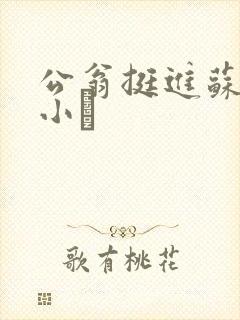 公翁挺进苏玥的小泬
