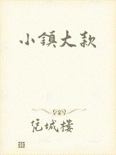 小镇大款封面