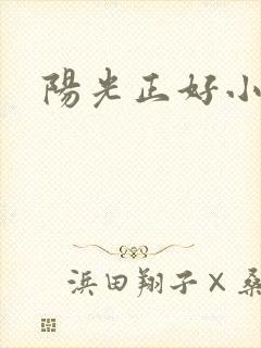 阳光正好小说封面