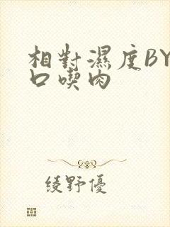 相对湿度BY大口吃肉