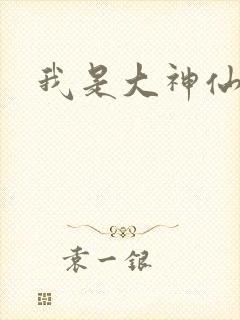我是大神仙小说