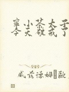 宁小茶太子殿下今天破戒了吗免费阅读封面