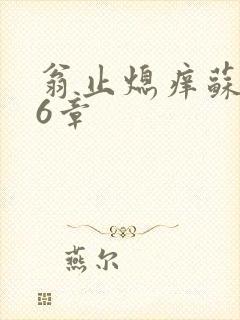 翁止熄痒苏玥第6章