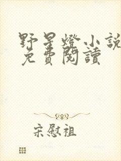 野星灯小说全文免费阅读