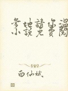 爹地请你温柔点小说免费阅读