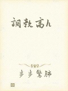 调教高h