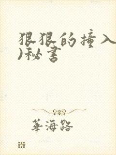 狠狠的撞入(h)秘书