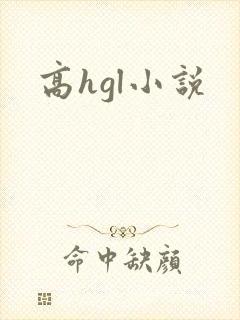 高hgl小说