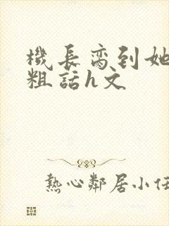 机长脔到她哭h粗话h文封面