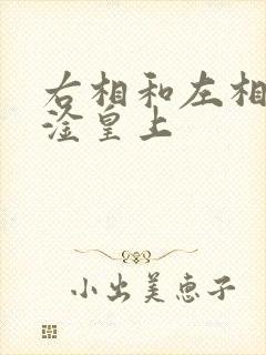右相和左相一起淦皇上封面