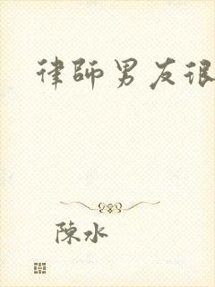 律师男友很难撩