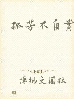 孤芳不自赏小说