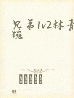 兄弟1v2林青碗封面