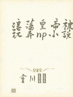 浪荡皇帝被多人玩弄np小说