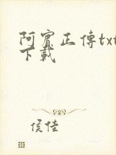 阿宾正传txt下载