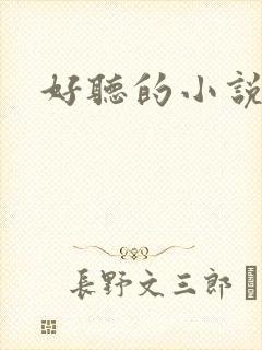 好听的小说名字封面