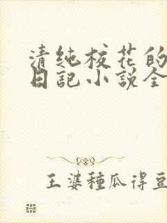 清纯校花的堕落日记小说全文免费阅读