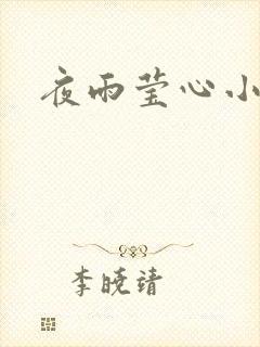 夜雨莹心小说