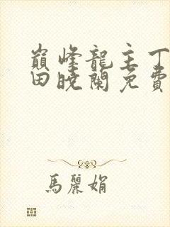 巅峰龙主丁长顺田晓兰免费阅读