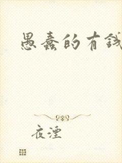 愚蠢的有钱人封面